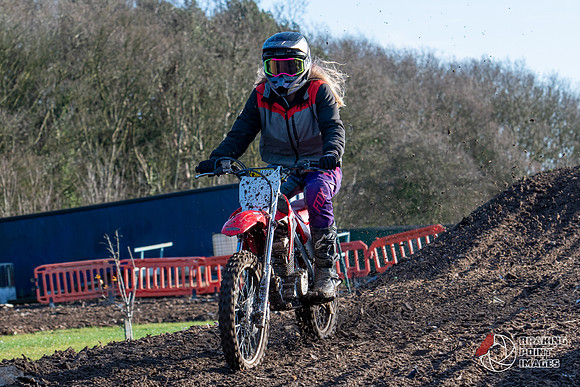 Minibikes (274)