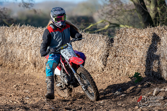 Minibikes (275)