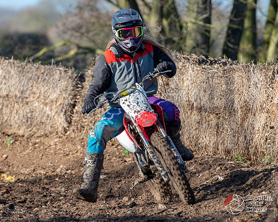 Minibikes (276)