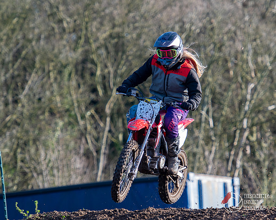 Minibikes (278)