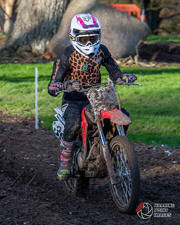 Minibikes (287)