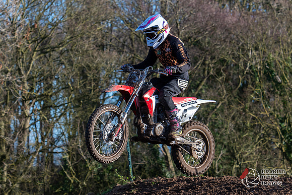Minibikes (291)