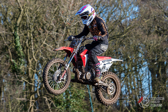 Minibikes (295)