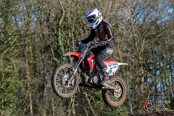 Minibikes (296)