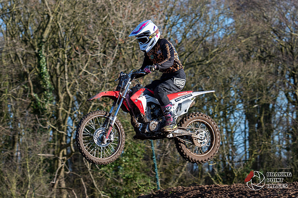 Minibikes (303)