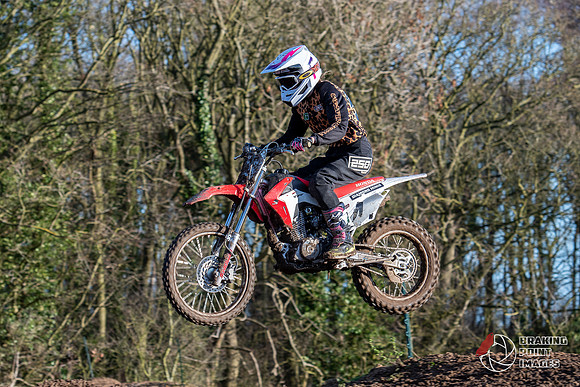 Minibikes (304)