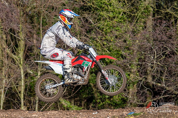 Minibikes (309)