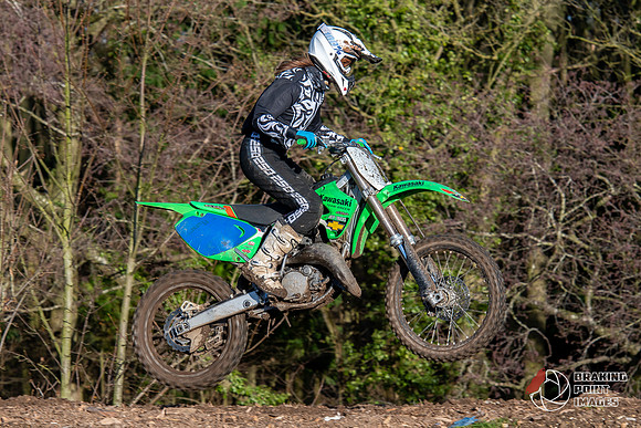 Minibikes (310)