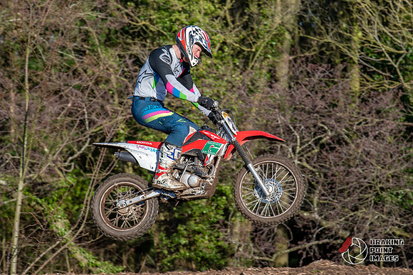Minibikes (312)