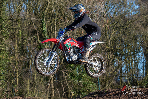 Minibikes (313)