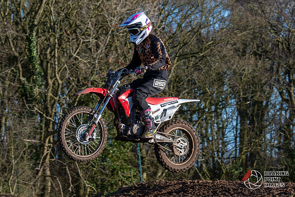 Minibikes (315)