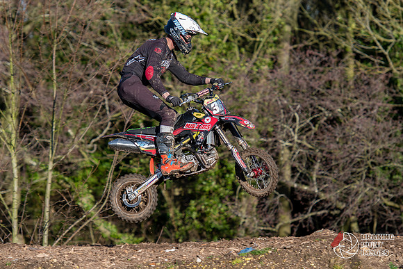 Minibikes (316)
