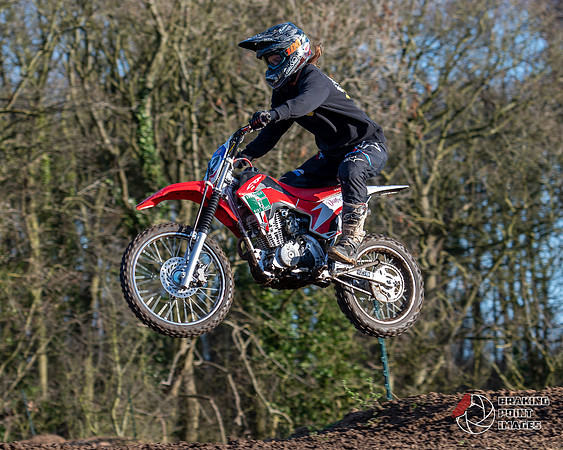 Minibikes (318)