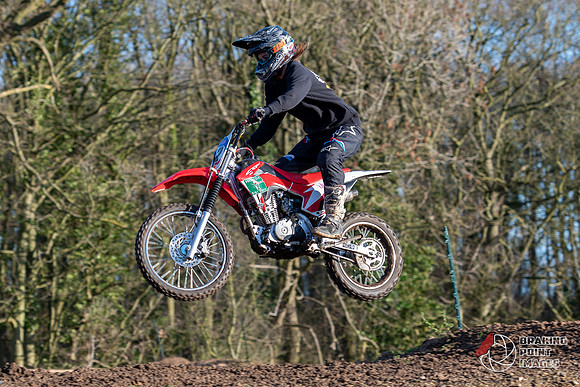 Minibikes (319)