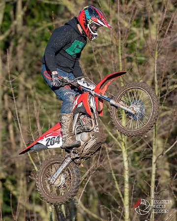 Minibikes (329)