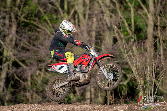 Minibikes (342)
