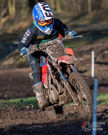 Minibikes (350)