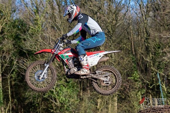 Minibikes (355)