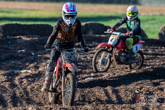 Minibikes (377)