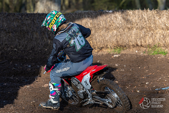 Minibikes (379)