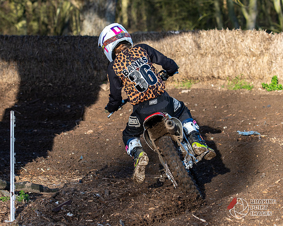 Minibikes (381)