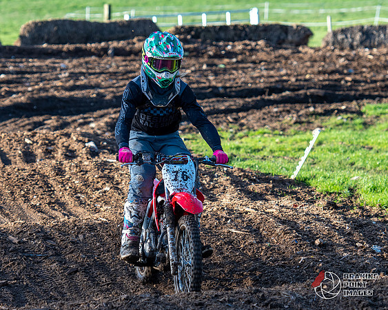 Minibikes (382)