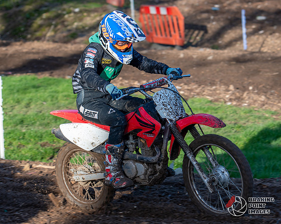 Minibikes (384)