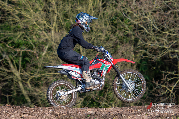 Minibikes (385)