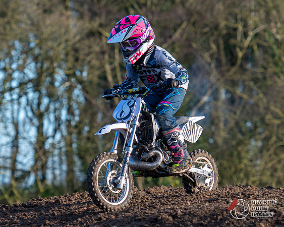 Minibikes (386)
