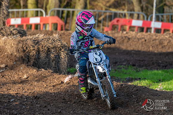 Minibikes (388)