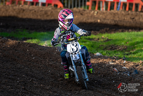 Minibikes (389)