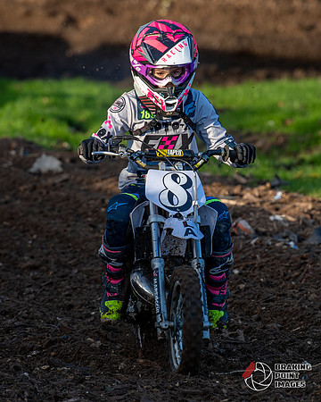 Minibikes (390)