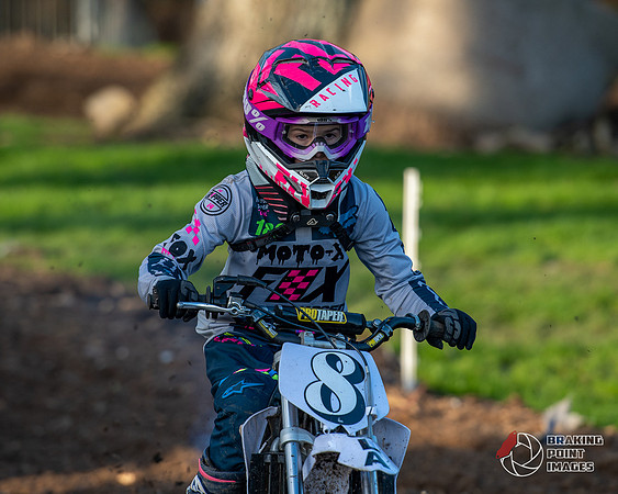 Minibikes (391)