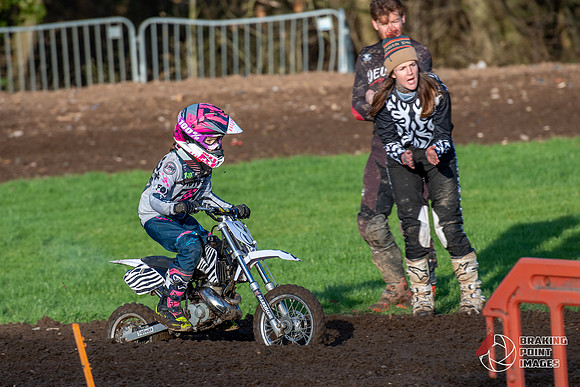 Minibikes (392)