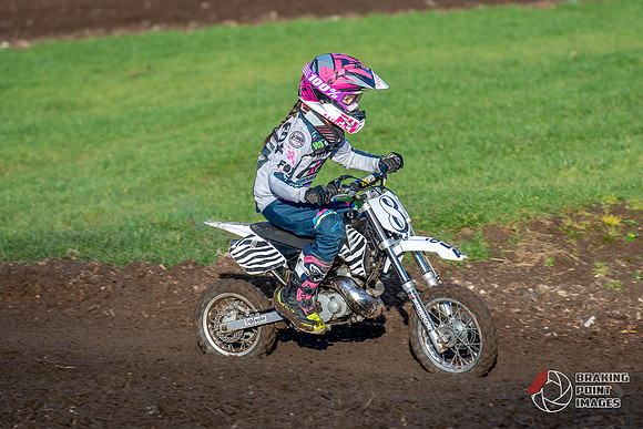Minibikes (393)