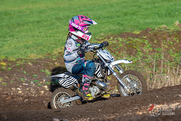 Minibikes (394)