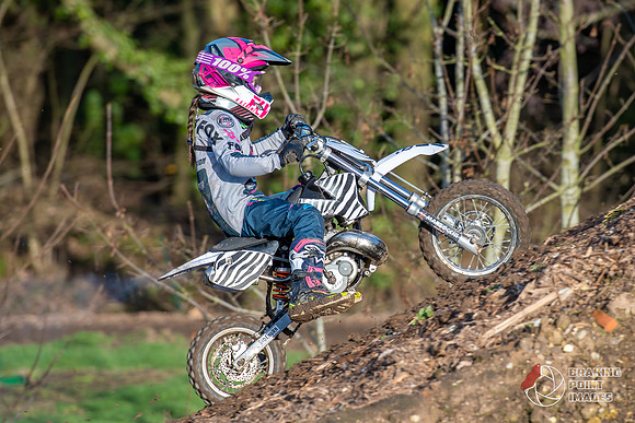 Minibikes (395)