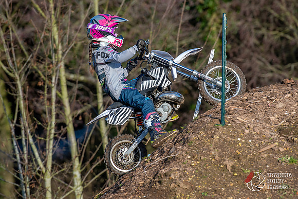 Minibikes (396)