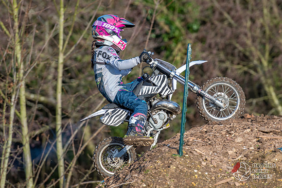 Minibikes (397)