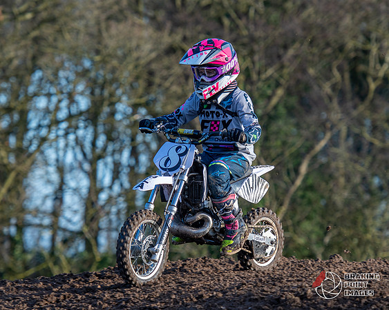 Minibikes (398)