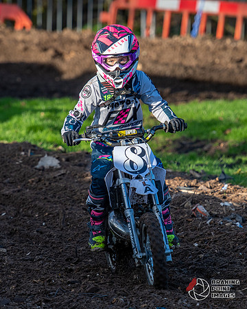 Minibikes (400)
