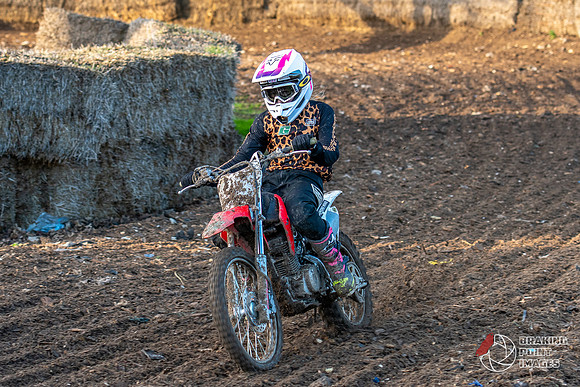 Minibikes (405)